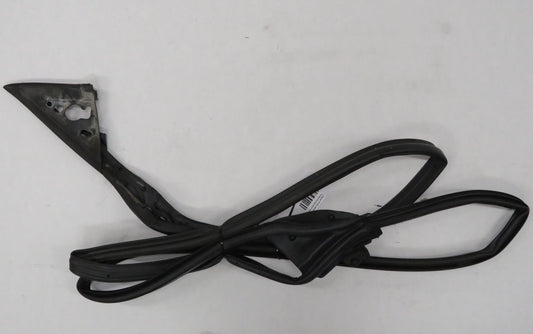 Jaguar X100 XKR XK8 Coupe Türdichtung door seal left Links HJA5363AC